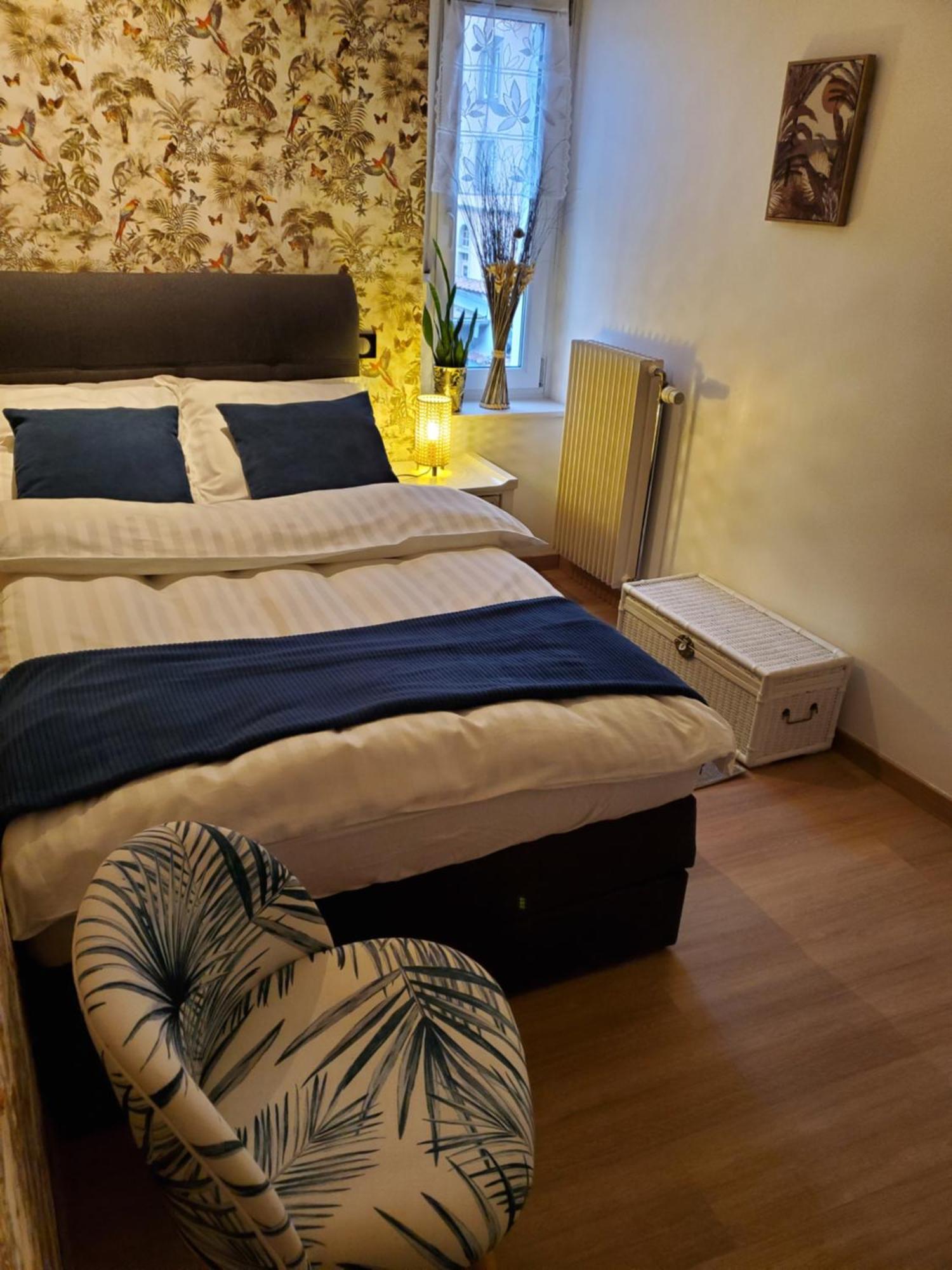 Mirka & Franck Apartment Chic 4 Stars Parking Free Colmar Exterior foto